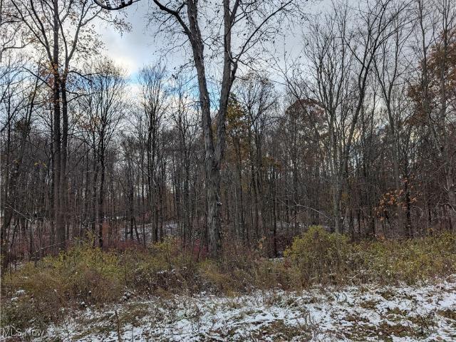Land for sale in Lodi, Ohio