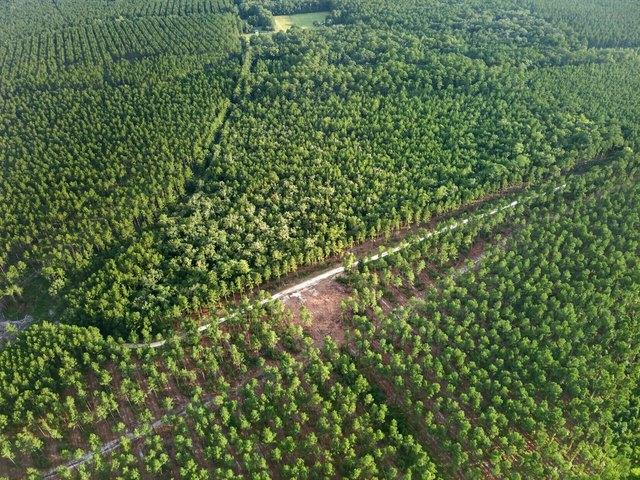 Land for sale in Adams Run, South Carolina
