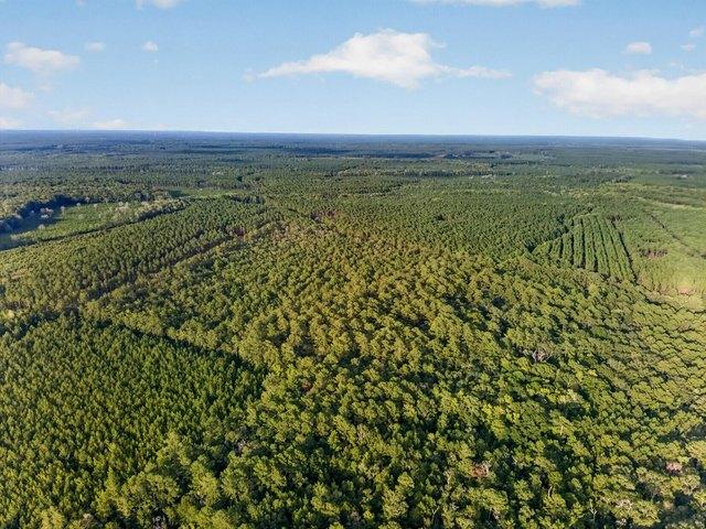 Land for sale in Adams Run, South Carolina