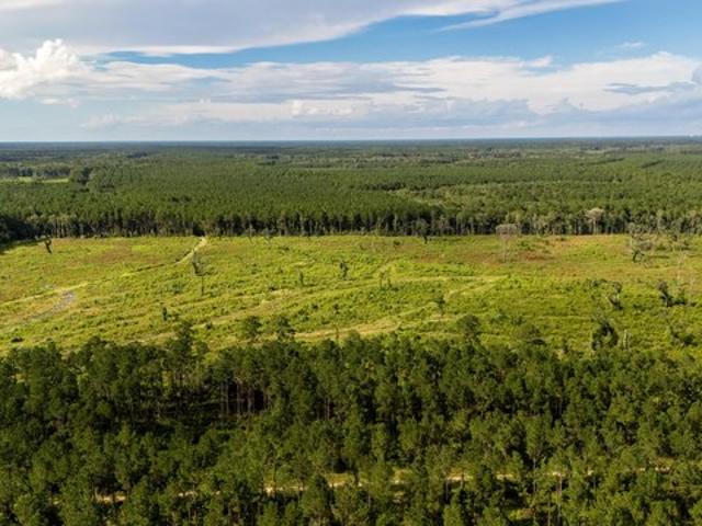Land for sale in Adams Run, Charleston County