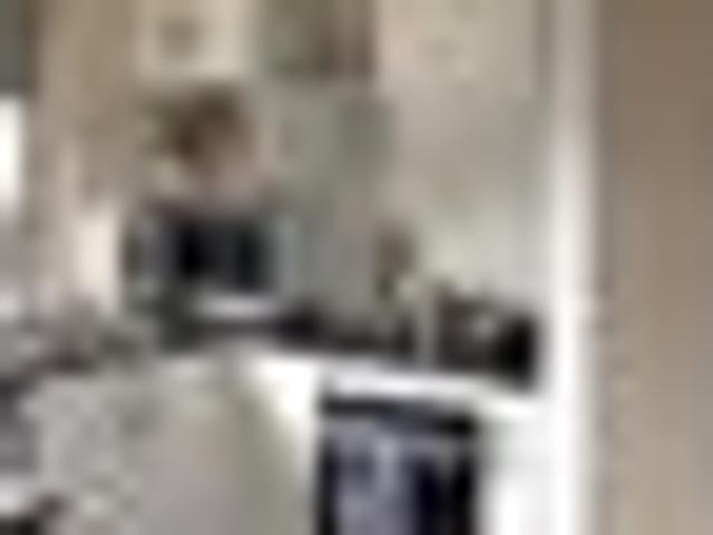 House for rent in Gate Pa, Bay Of Plenty