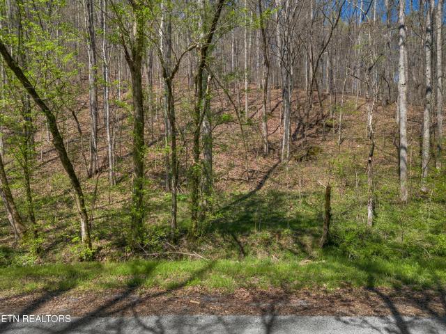 Land for sale in Tennessee