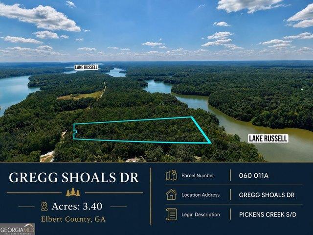 Land for sale in Elbert, Georgia