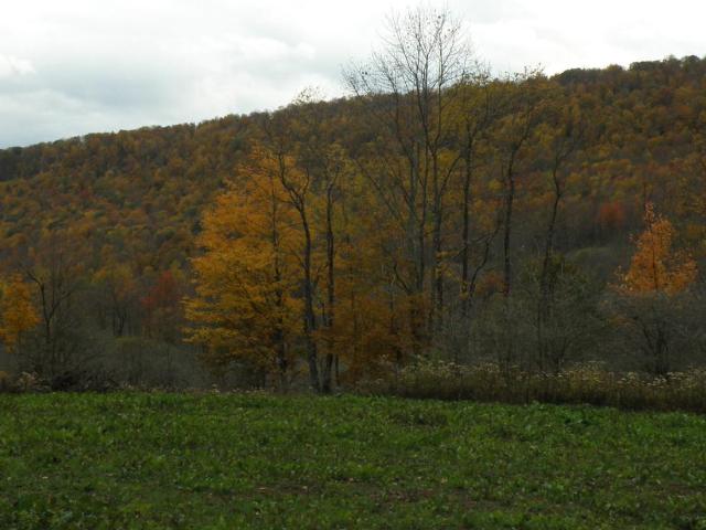 Land for sale in Hamden, New York