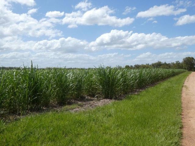 Property for sale in Queensland