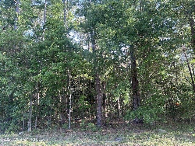Land for sale in Moss Point, Mississippi