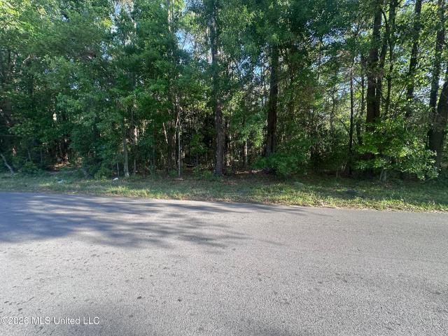 Land for sale in Moss Point, Mississippi