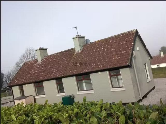 House to rent