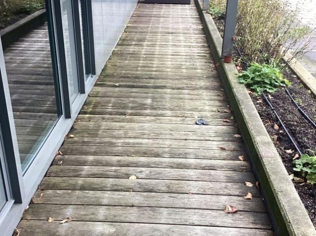 Appartement te huur in Eindhoven, Groenewoud