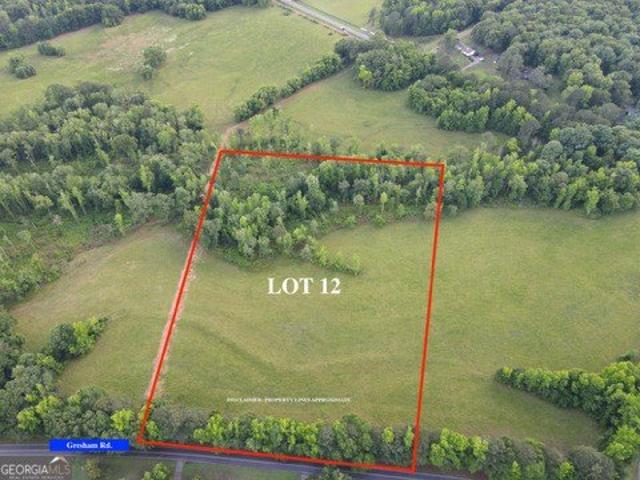 Land for sale in Zebulon, Georgia