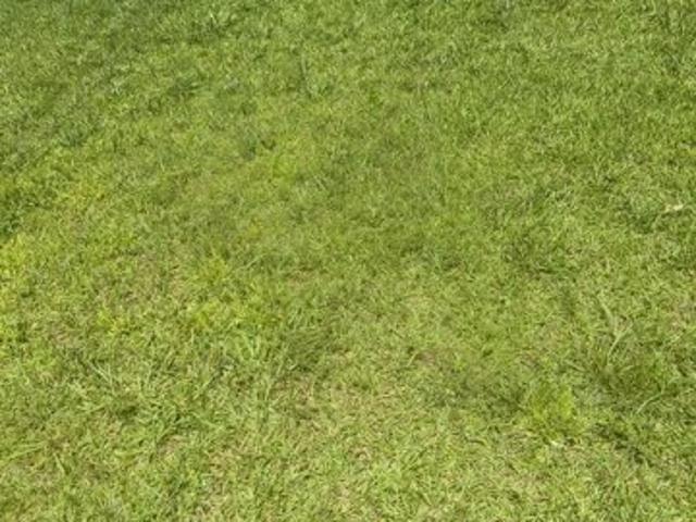 Land for sale in Ellenwood, Georgia