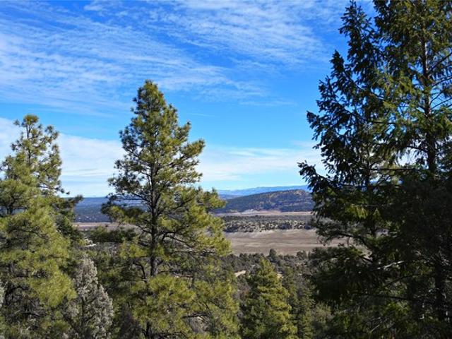 Land for sale in Tierra Amarilla, Rio Arriba County