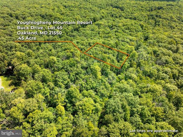 Land for sale in Oakland, Garrett County