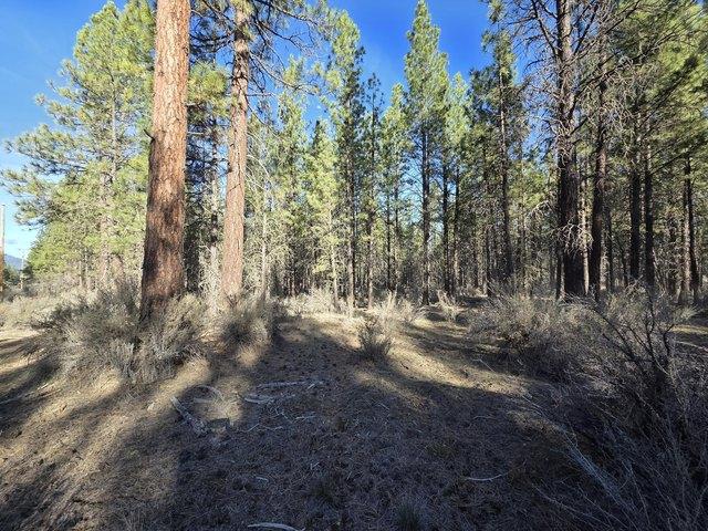 Land for sale in Oregonia