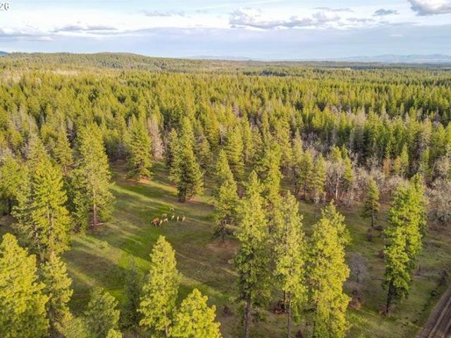 Land for sale in Goldendale, Washington