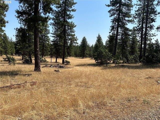 Land for sale in Goldendale, Klickitat County