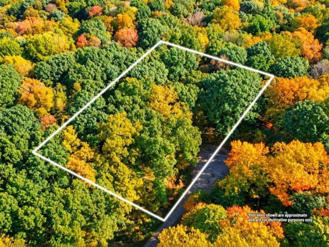 Land for sale in Niles, Berrien County