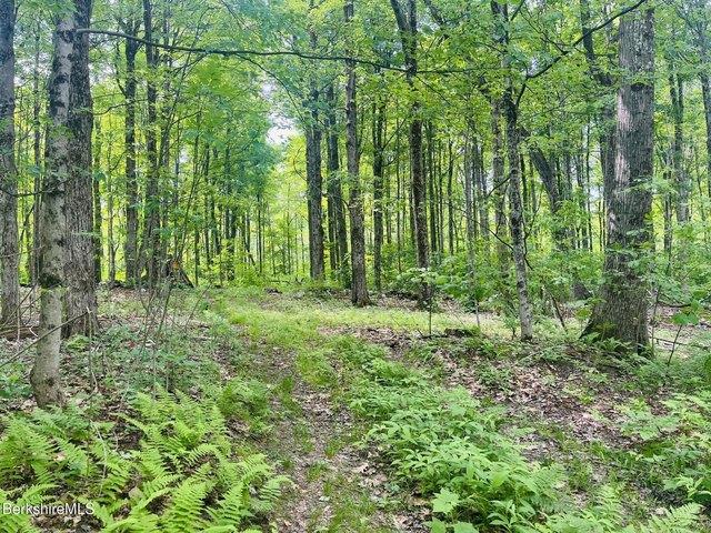 Land for sale in Berkshire, Massachusetts