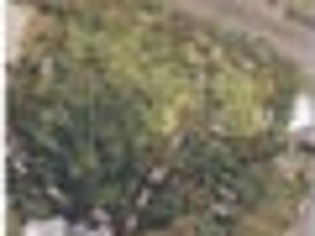 Land for sale in Cobden, West Coast