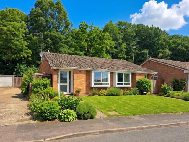 House for rent in St John's, Woking