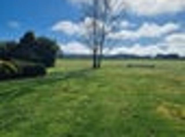 House for rent in Greytown, Wellington
