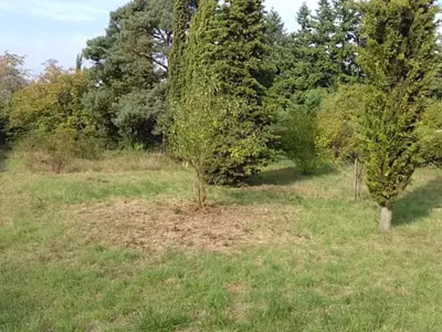 Terrain vente à Fontainebleau, Grez-sur-loing
