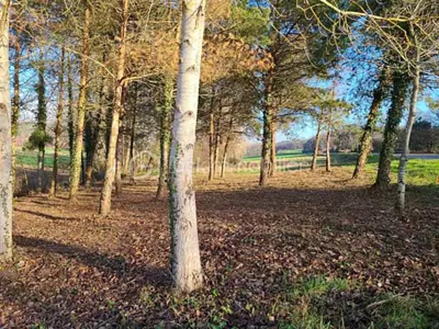 Terrain vente à Grézet-cavagnan, Lot-et-Garonne