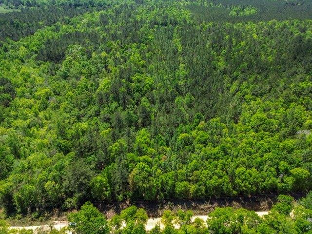 Land for sale in Red Level, Alabama