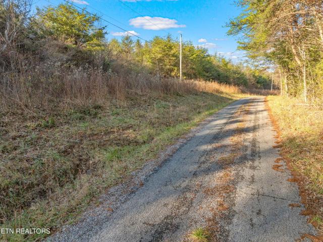 Land for sale in Tennessee