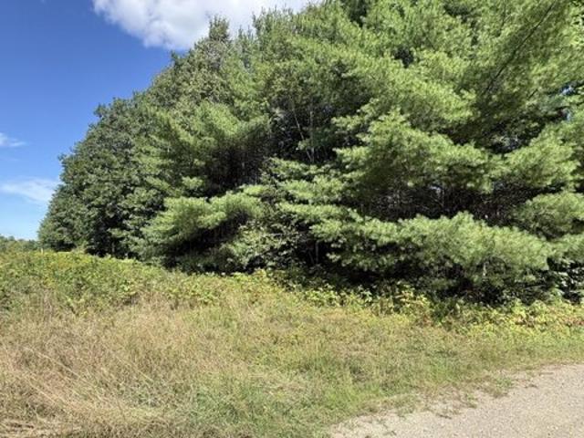 Land for sale in Halls Corner, Windsor