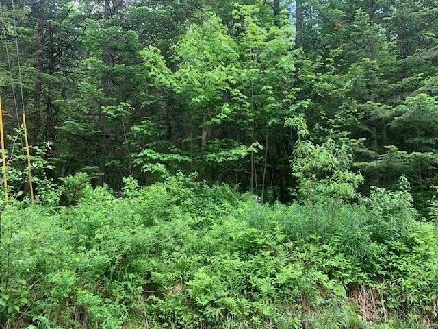 Land for sale in New Hampshire