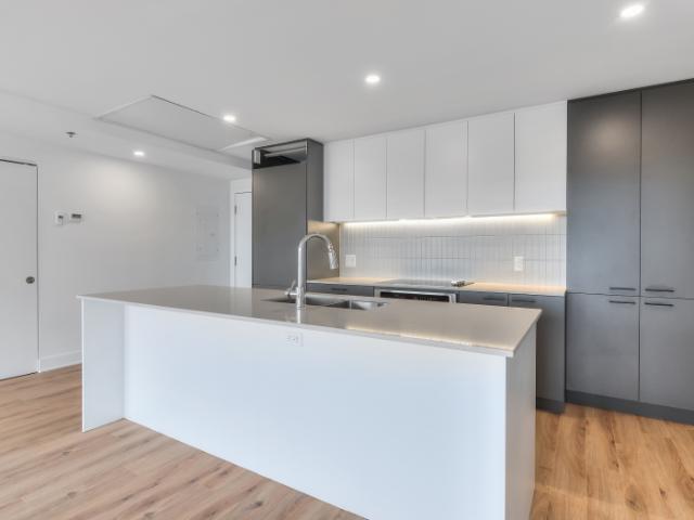 Apartment for rent in Le Sud-Ouest, Montréal