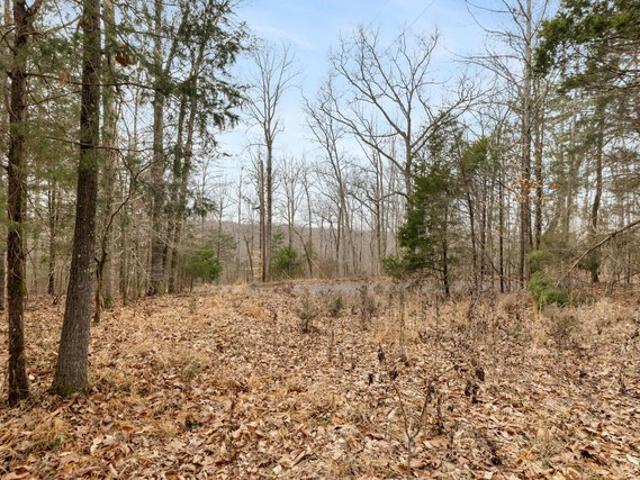 Land for sale in Tennessee