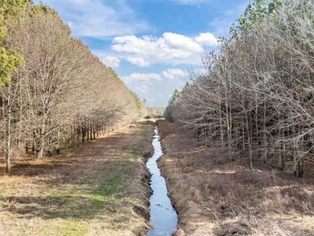 Land for sale in Grifton, North Carolina