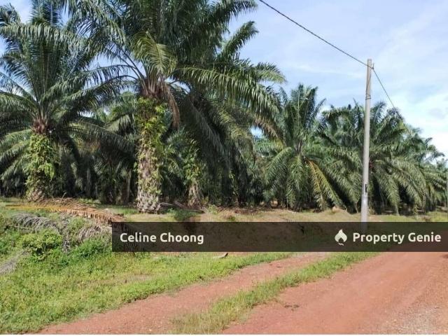 Property for rent in Perak
