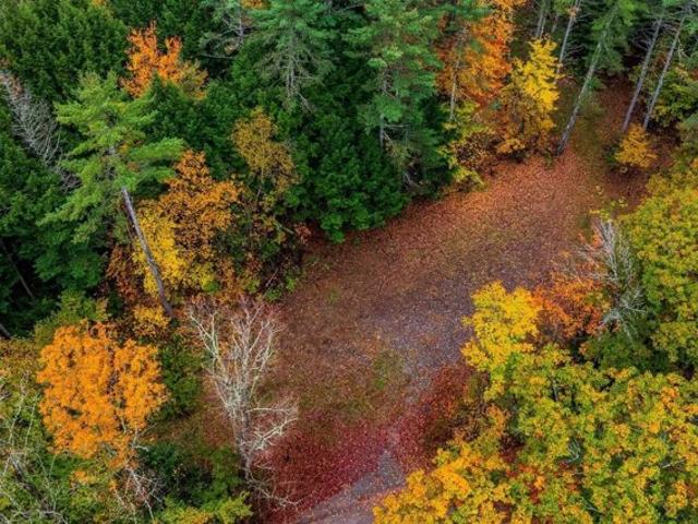 Land for sale in Orford, Grafton County