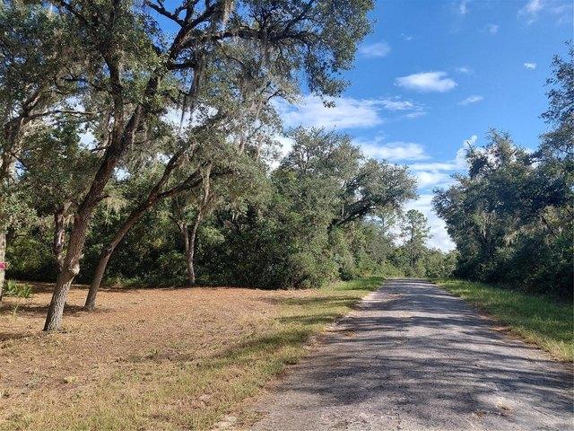 Land for sale in Webster, Florida