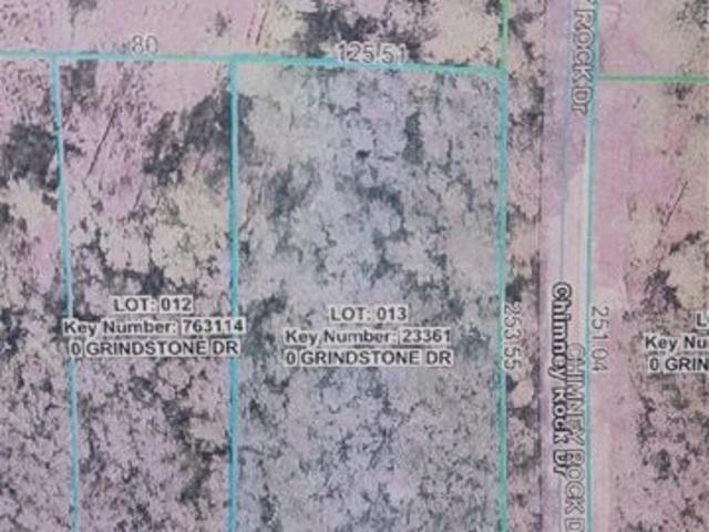 Land for sale in Webster, Sumter County