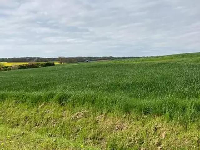 Terrain vente à Château-Thierry, Grisolles