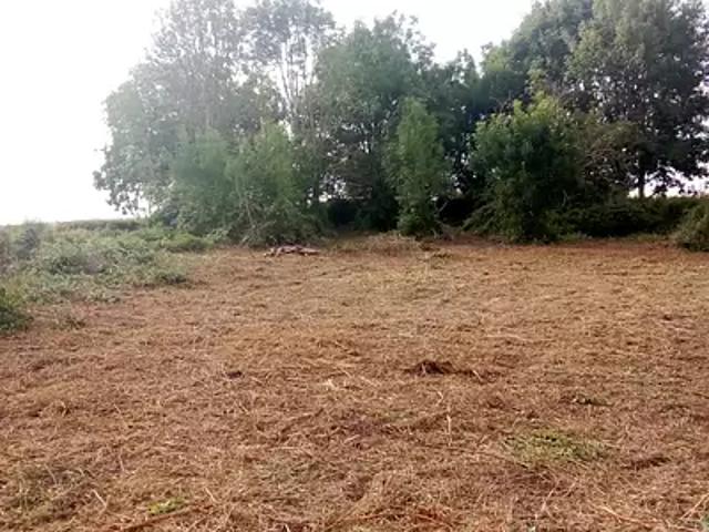 Terrain vente à Château-Thierry, Grisolles