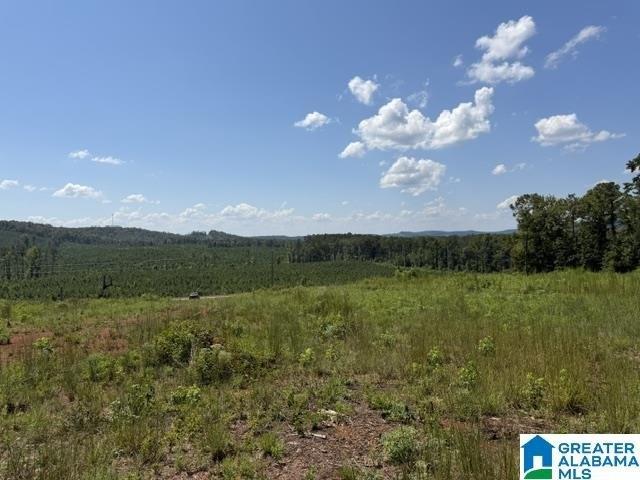 Land for sale in Vincent, Alabama