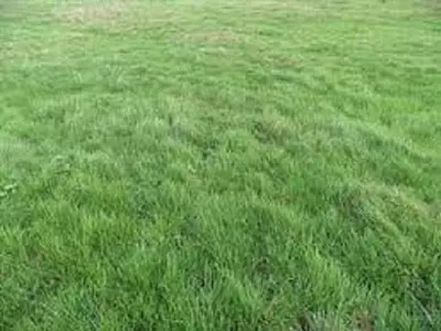 Terrain vente à Melun, Grisy-suisnes