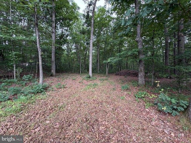 Land for sale in Hardy, West Virginia