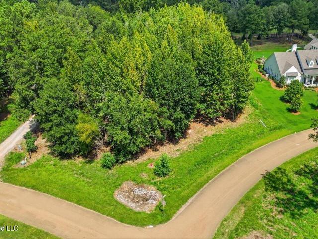 Land for sale in Ridgeland, Mississippi