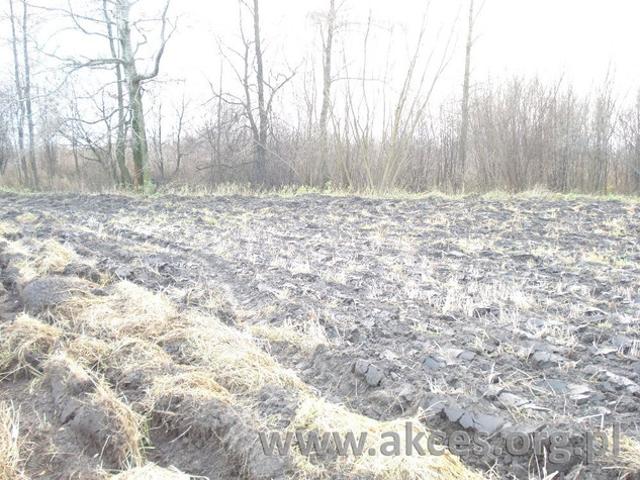 Grunt na sprzedaż w Grodzisk Mazowiecki, Mazowieckie