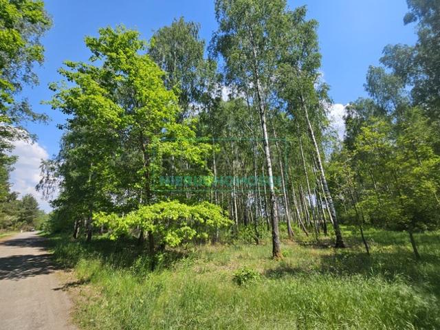 Grunt na sprzedaż w Grodzisk Mazowiecki, Mazowieckie