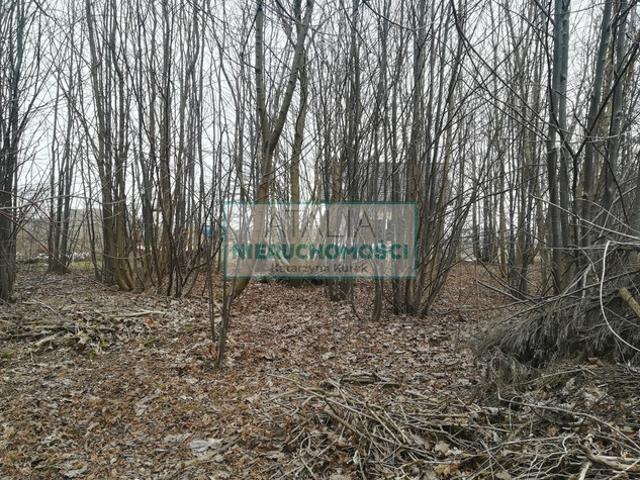 Grunt na sprzedaż w Grodzisk Mazowiecki, Mazowieckie