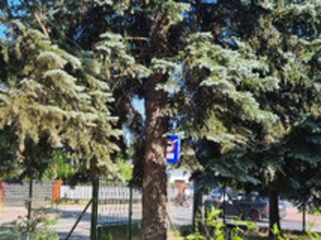 Dom na sprzedaż w Grodzisk Mazowiecki, Mazowieckie