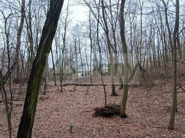 Grunt na sprzedaż w Milanówek, Mazowieckie