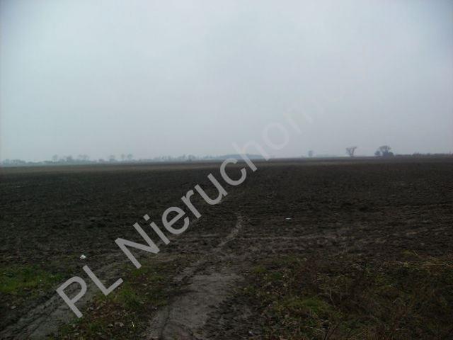 Grunt na sprzedaż w Tłuste, Mazowieckie